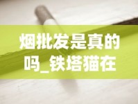 烟批发是真的吗_铁塔猫在哪里买正品_peel香烟是哪里的