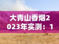 大青山香烟2023年实测：10年老烟民亲测口感，低价烟真能媲美中华？
