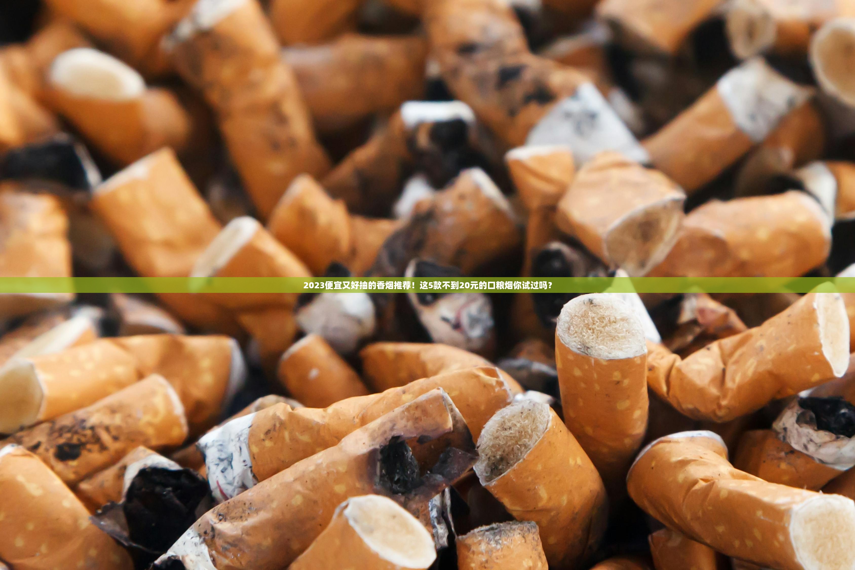 2023冬虫夏草香烟价格表最新曝光！这些隐藏福利现在知道还不晚