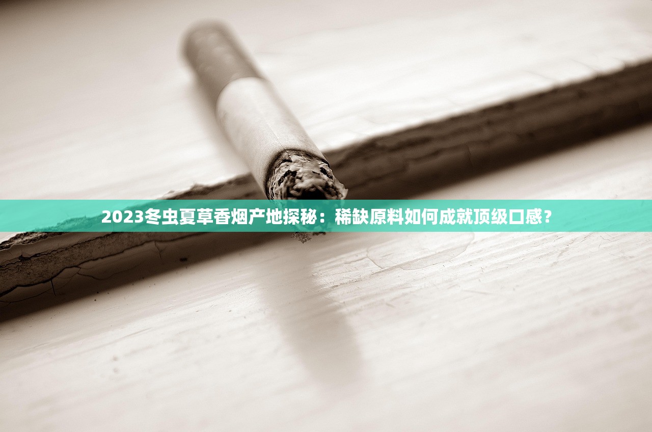 2023最新攻略：云霄香烟购买渠道全解析，这些地方能买到正品！