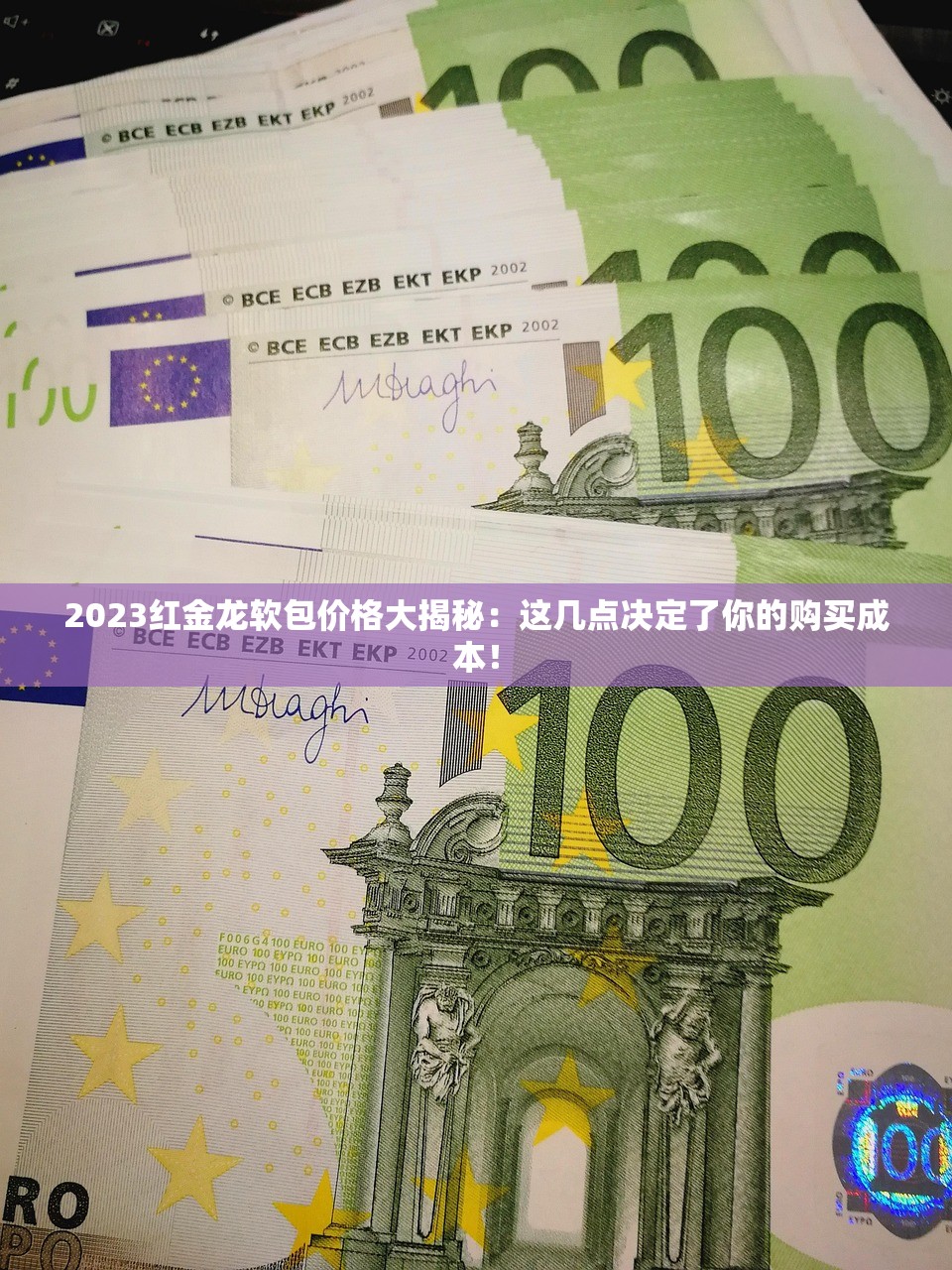 2023红金龙软包价格大揭秘：这几点决定了你的购买成本！