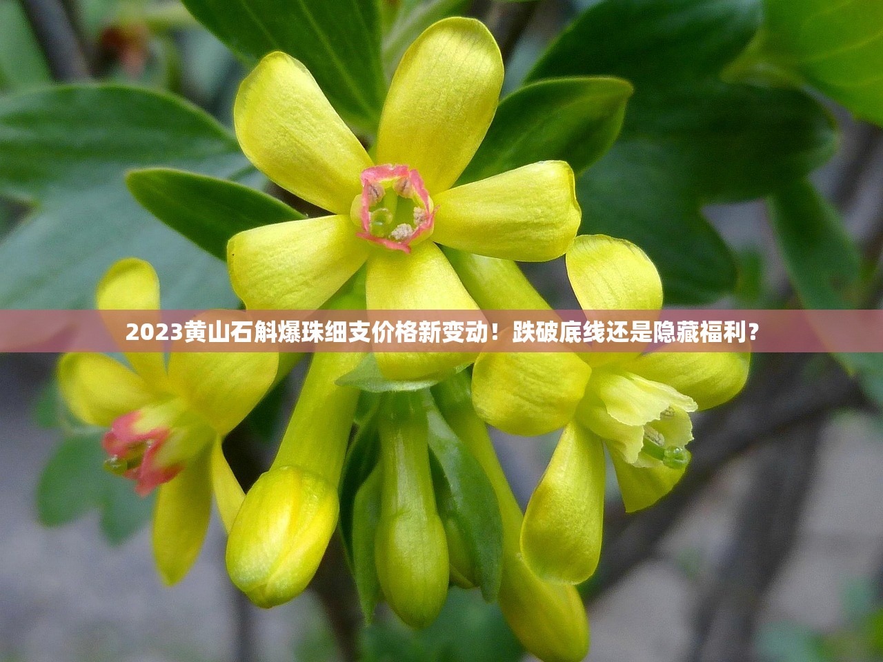 2023香烟包装机技术揭秘：高效生产背后的智能革新
