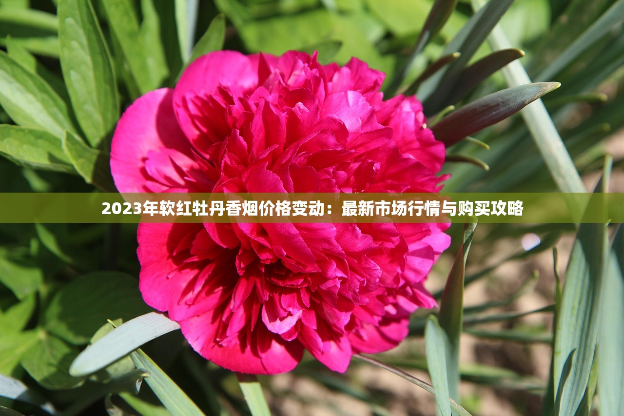 2023年软红牡丹香烟价格变动：最新市场行情与购买攻略