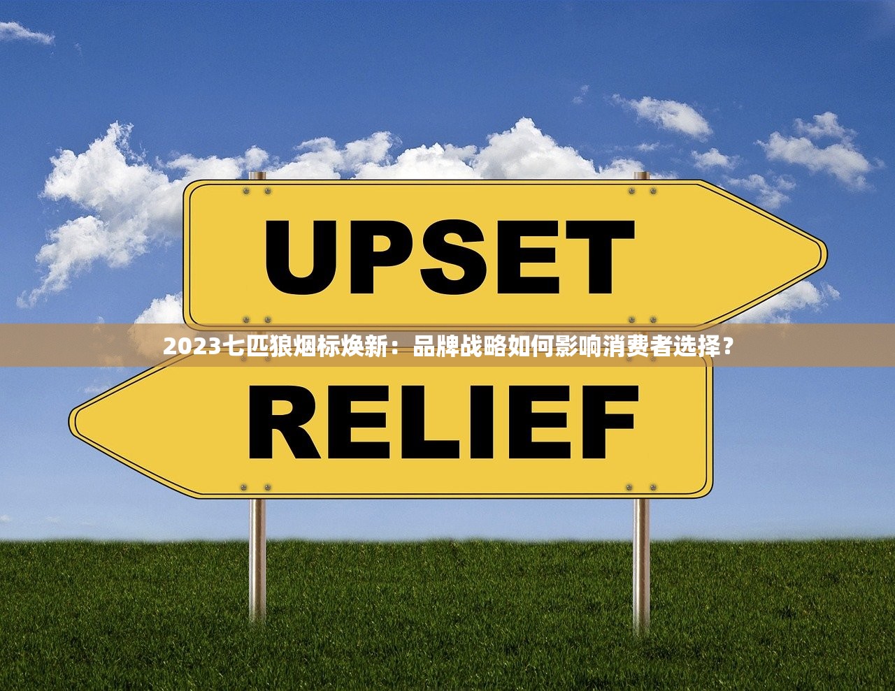 2023七匹狼烟标焕新：品牌战略如何影响消费者选择？