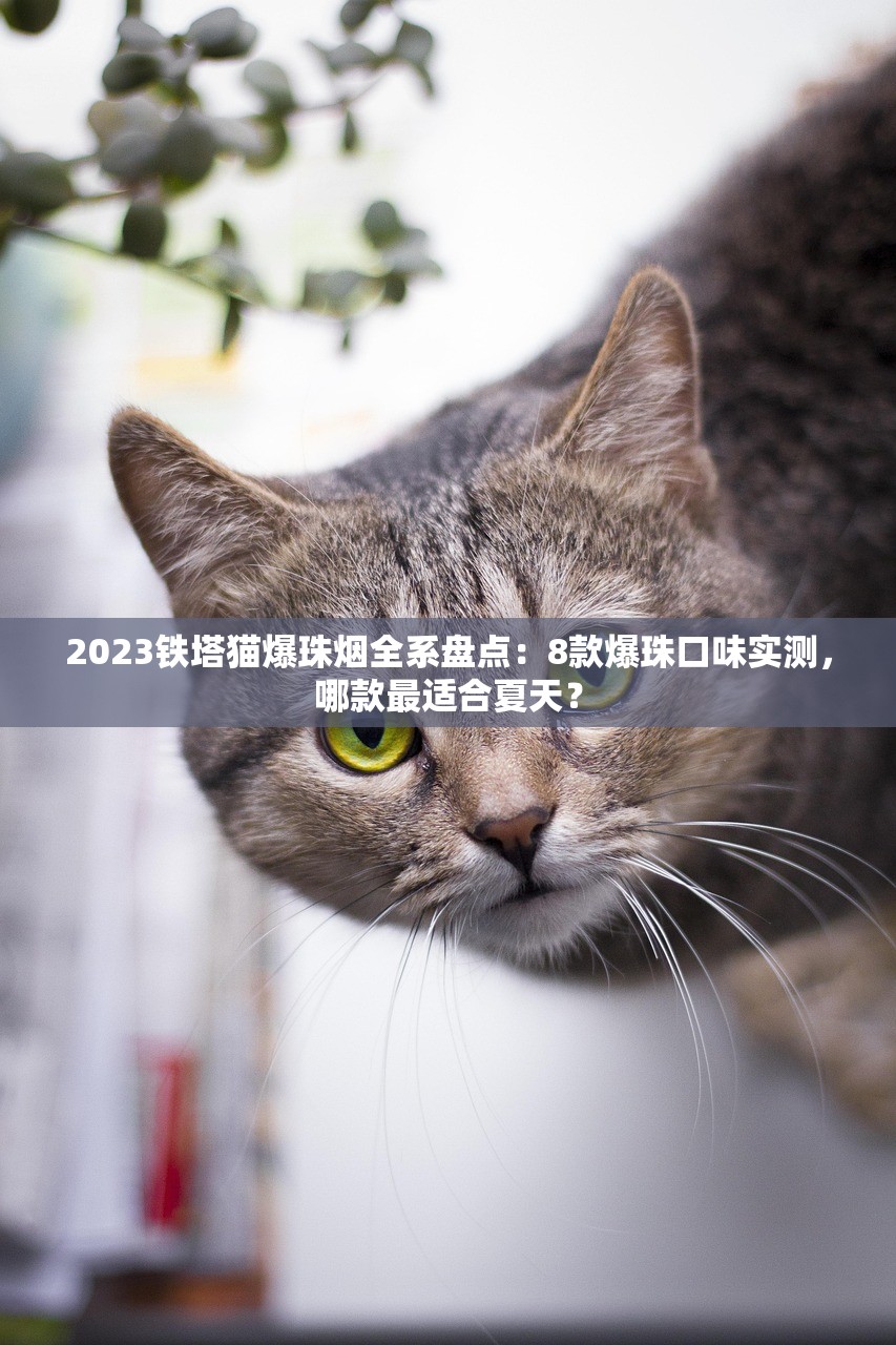 2023铁塔猫爆珠烟全系盘点：8款爆珠口味实测，哪款最适合夏天？