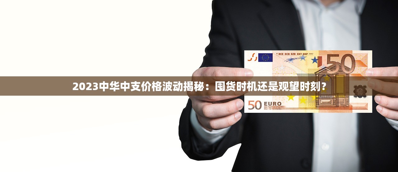 2023中华中支价格波动揭秘：囤货时机还是观望时刻？