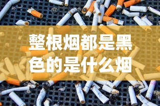 整根烟都是黑色的是什么烟_野烟叶的功效与作用_外烟售卖店