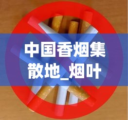 中国香烟集散地_烟叶冷烤与热烤的区别_免税烟进货攻略 中国香烟集散地_烟叶冷烤与热烤的区别_免税烟进货攻略